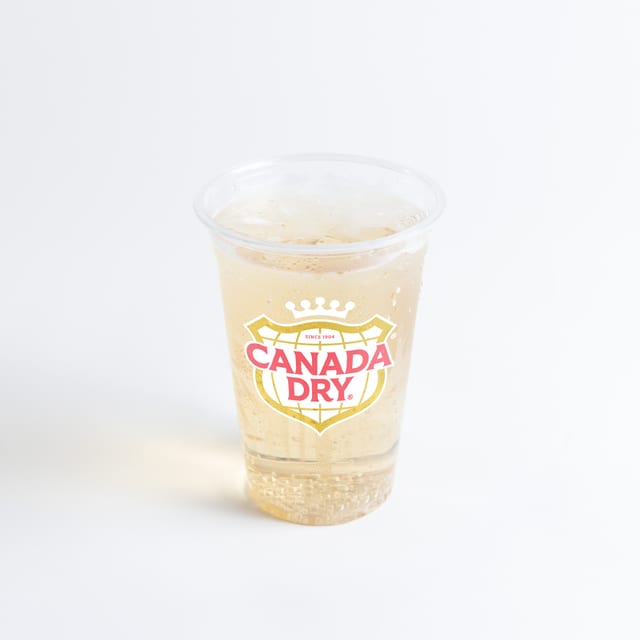 Ginger Ale 20 Fl Oz.